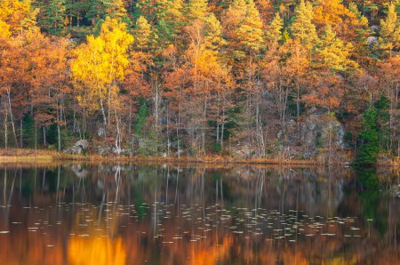 Téléchargez les photos : Fall colors at still lake - en image libre de droit