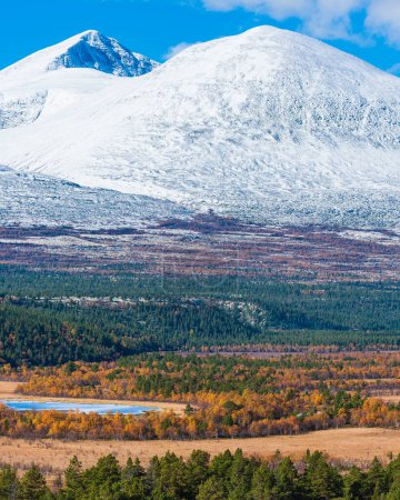 Foto de Árboles frente al paisaje de montaña cubierto de nieve - Imagen libre de derechos