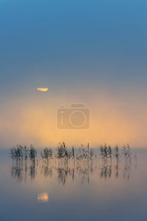 Photo for Dawn over lake Finnish, Molnlycke, Sweden, Europe - Royalty Free Image