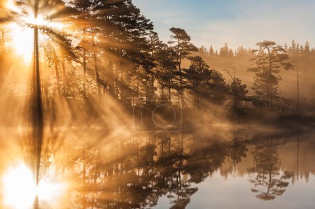 Foto de Impresionante amanecer a través de los árboles y reflejado en lago todavía - Imagen libre de derechos