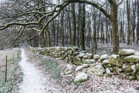 Téléchargez les photos : Mur en pierre et sentier enneigé - en image libre de droit