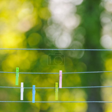 Photo for Clothes pegs on washing line, close up, Sweden, Europe - Royalty Free Image