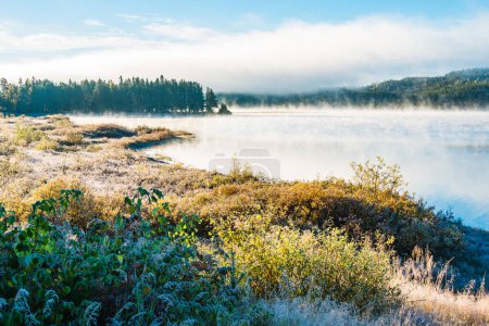 Photo for Frosty grass besides still lake - Royalty Free Image