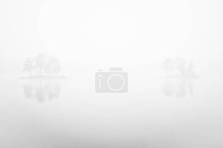 Foto de Árboles en la niebla, Dalarna, Suecia - Imagen libre de derechos
