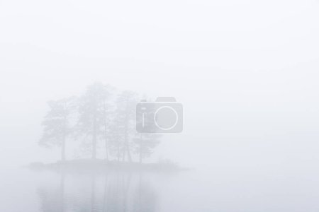 Foto de Isla con árboles en un lago brumoso - Imagen libre de derechos