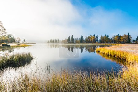 Photo for Still and misty lake, Sweden - Royalty Free Image