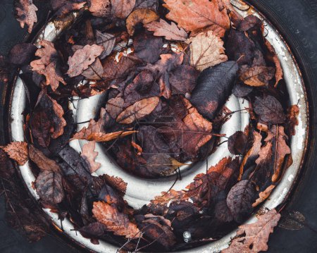 Foto de Neumático cubierto de hojas marrones tumbadas en el suelo - Imagen libre de derechos