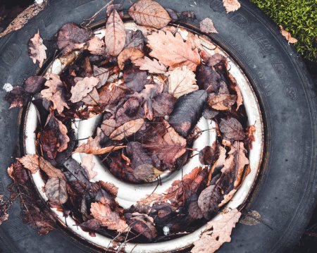 Foto de Neumático cubierto de hojas marrones tumbadas en el suelo - Imagen libre de derechos