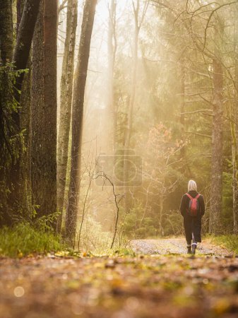 Téléchargez les photos : Femme marchant sur le chemin dans la forêt - en image libre de droit
