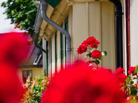 Photo for Flowers in front of building - Royalty Free Image