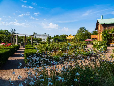 Foto de GOTHENBURG, SUECIA - 17 de agosto de 2020: Jardín con flores. - Imagen libre de derechos