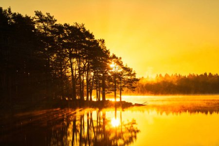 Ruhige Szenerie eines idyllischen schwedischen Sees in der Morgendämmerung, umgeben von Nebel und Bäumen mit einem leuchtend orangen Himmel, der sich im stillen Wasser spiegelt.