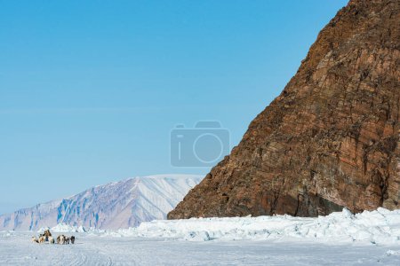 Photo for QAANAAQ, GREENLAND - MAY 4, 2014: Musher and his dogs on a tourist dog sledge trip - Royalty Free Image