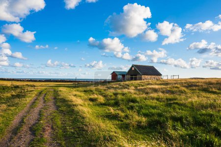 Une scène rurale pittoresque en Suède, avec un ciel bleu et un horizon sur une colline vallonnée de prairies, avec une vieille grange nichée parmi les plantes.