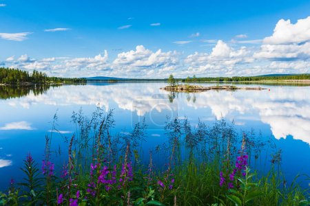 Téléchargez les photos : Fleurs en face du lac tranquille - en image libre de droit