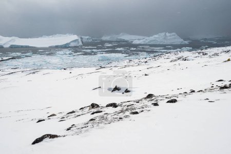 Téléchargez les photos : Paysage de montagne devant le fjord - en image libre de droit