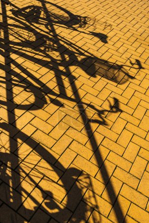 Photo for Bicycles parked on street with shadows - Royalty Free Image