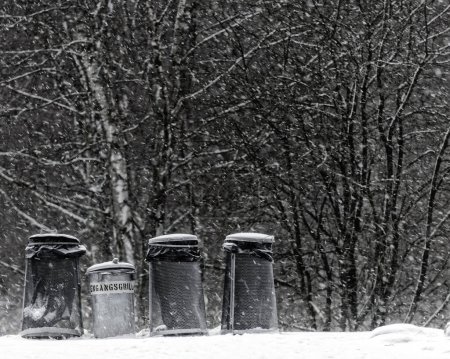 Téléchargez les photos : Poubelles au bord d'une forêt enneigée en hiver - en image libre de droit