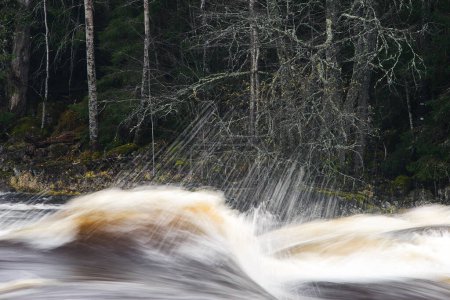 Photo for Rapid water on river bank, Dalalven, Sweden - Royalty Free Image
