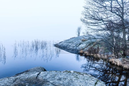 Photo for A tranquil autumn scene in Sweden of a lake surrounded by misty cliffs and reeds, reflecting the beauty of nature. - Royalty Free Image