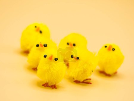 Photo for Fluffy yellow chickens, arranged for Easter decoration in a studio - perfect macro photography subject with no people. - Royalty Free Image