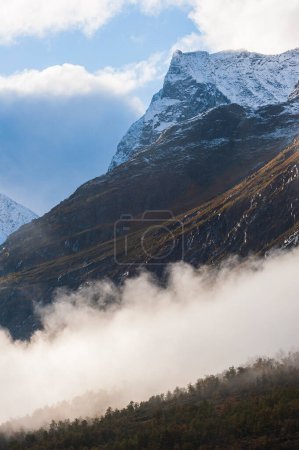 Téléchargez les photos : Montagne avec neige fraîche au-dessus de la brume - en image libre de droit