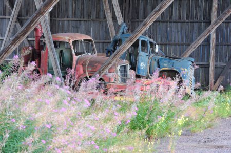 Foto de Carros oxidados abandonados por un granero - Imagen libre de derechos