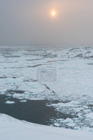Téléchargez les photos : Soleil brille au fjord avec des icebergs flottants - en image libre de droit