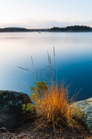 Photo for A tranquil morning by a lake in Sweden, with lush grass and plants along its shoreline. A picturesque reflection of the sky on the still body of water completes this serene environment. - Royalty Free Image