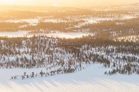 Photo for Tranquil winter landscape in Norway: snow-covered trees, mountains, and serene sunset. - Royalty Free Image