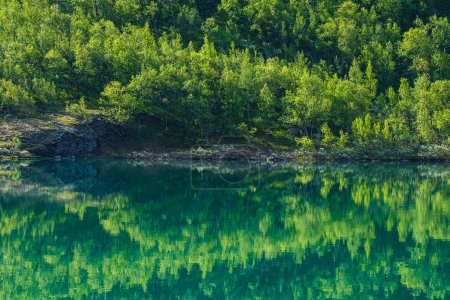 Foto de Reflejo del lago con bosque - Imagen libre de derechos