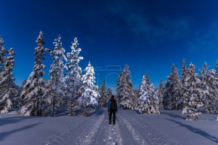 Photo for Man with backpack standing under starry sky - Royalty Free Image