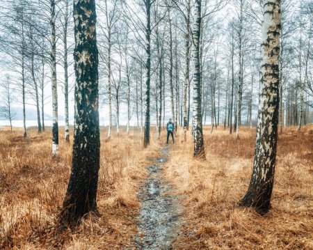 Téléchargez les photos : Homme debout sur le sentier dans la forêt de bouleau - en image libre de droit