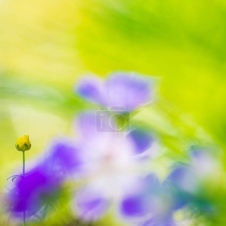 Foto de Hermosa flor amarilla en el bosque - Imagen libre de derechos