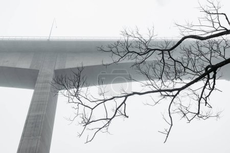 Photo for Misty bridge pillars and bare tree against sky in Gothenburg, Sweden. - Royalty Free Image