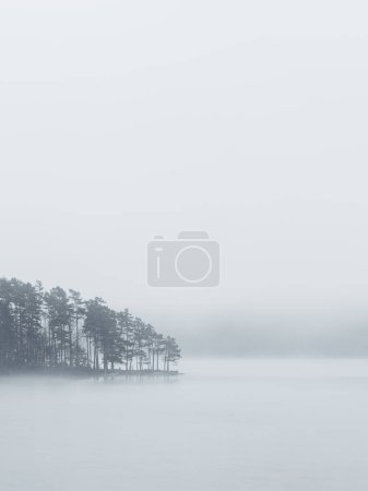Ein weicher, ätherischer Nebel liegt über einem ruhigen See und einer kleinen Pinieninsel und schafft eine friedliche, monochrome Szenerie.