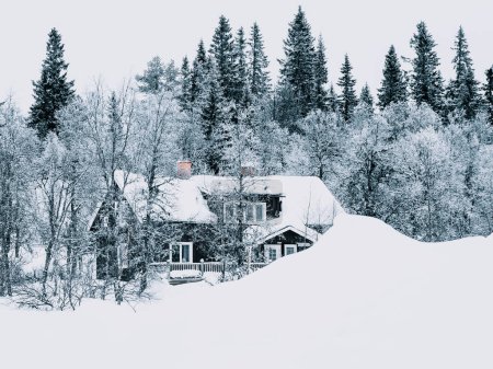 This image captures a quaint cottage blanketed in fresh snow, nestled quietly amongst a dense forest of pine trees. The serene, winter scene conveys a peaceful and isolated atmosphere, highlighting the beauty of a snowy landscape during the day.