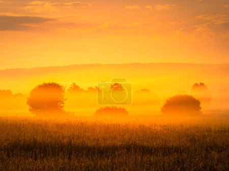 Golden Sunrise Over a Misty Field in Mlndal, Sweden, Signaling the Start of a New Day