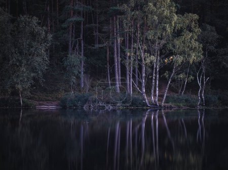 Eine ruhige Szene spielt sich in der Abenddämmerung an einem ruhigen See im schwedischen Molndal ab und zeigt das zarte Zusammenspiel von Licht und Schatten, während sich Bäume auf der Wasseroberfläche spiegeln, wodurch eine fast ätherische Symmetrie zwischen der Natur und ihrer Spiegelung entsteht..