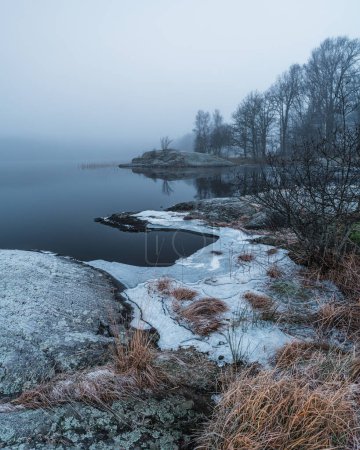 A tranquil early morning scene is captured where the calm waters of a misty lake meet the frosted shore. Bare trees and scattered grasses, touched by winters chill, frame the gentle curve of the land as it reaches towards the lake, with a hint of daw