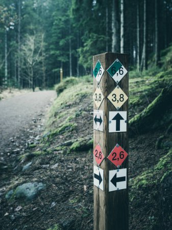 Una señal de madera con múltiples flechas que apuntan en varias direcciones, indicando diferentes senderos en el bosque.