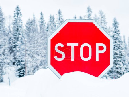 A red stop sign stands out against the white snow-covered ground beneath it, creating a stark contrast. The winter landscape further enhances the visibility of the sign.