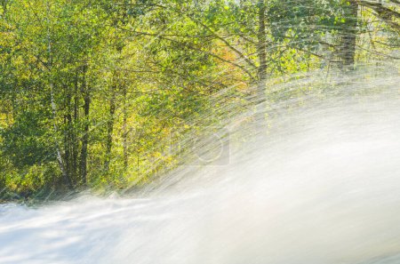 Heiterer Wasserfall, der an einem strahlenden Tag durch einen üppigen schwedischen Wald fällt