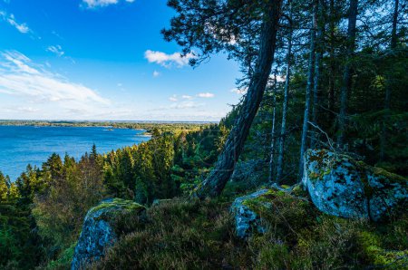 Vue sur un lac entouré d'une forêt dense d'arbres verts, se reflétant dans l'eau calme par une journée ensoleillée en Suède.