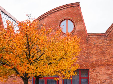 A red brick building with a tree in front of it, located in Gothenburg, Sweden. The tree is in full autumn color, standing tall against the backdrop of the aged building.