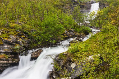 A breathtaking waterfall gracefully flows through a dense, verdant forest in Lappland, Sweden. The vibrant greenery thrives, creating a picturesque and serene landscape perfect for nature enthusiasts and hikers.
