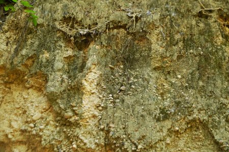 Textur und Hintergrund des Oberflächen-Sandsteinberges, der von der Natur erodiert wurde.
