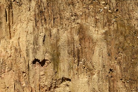 Textur und Hintergrund des Oberflächen-Sandsteinberges, der von der Natur erodiert wurde.