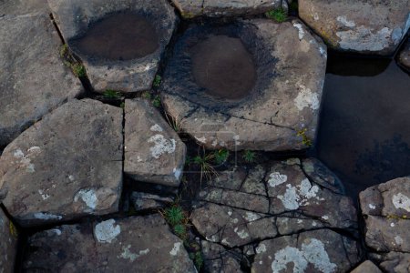 Vue rapprochée de pierres de basalte hexagonales comportant de petites piscines d'eau et des îlots de lichen. Les détails complexes et les textures naturelles le rendent idéal pour la géologie, la nature et les thèmes de texture.