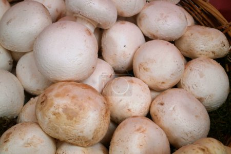 Téléchargez les photos : Close-up on a stack of button Mushrooms (Agaricus bisporus) in a basket. - en image libre de droit